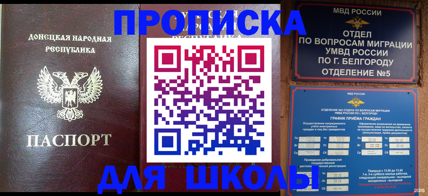 прописка для работы в Фрязино